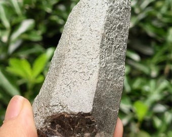 Natural Green Phantom Quartz Crystal Points |Collection | Energy | Spirit | Psychic