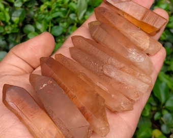 May include: A collection of orange-brown quartz crystal points, varying in size and shape, are held in a hand. The crystals have a translucent quality, with some showing internal textures. The background is a blurred view of green foliage.