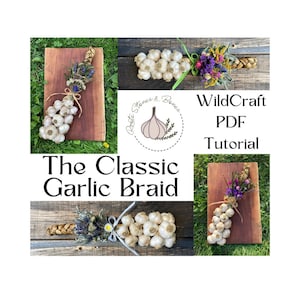 Garlic Braid Tutorial: WildCraft Traditional Craft (PDF Download)