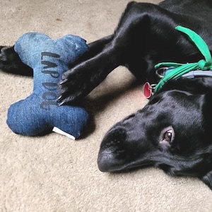 May include: A black dog with a green collar and a denim bone-shaped dog toy. The toy has the text "LAP DOG" printed on it. The dog is lying on a light brown carpet.
