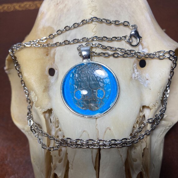 Snake shed best sale jewelry