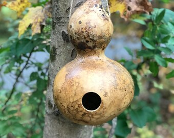 Pajarera de calabaza, Regalo de jardín, Pajarera cultivada natural, Regalo del Día de la Madre