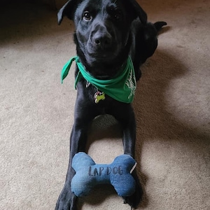 Dog Bone Toy Sewing Pattern PDF, Sewing Pattern, Valentine Gift for Pet