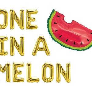 One in a Melon Party Kit | Watermelon Party Watermelon Birthday One in a Melon Letter Balloon Garland Watermelon Party Decorations