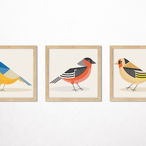 British Garden Birds SET de 3 art prints, Retro minimalista geométrico, DESCARGA DIGITAL, Blue Tit, Goldfinch Bullfinch Bird Print Mid Century