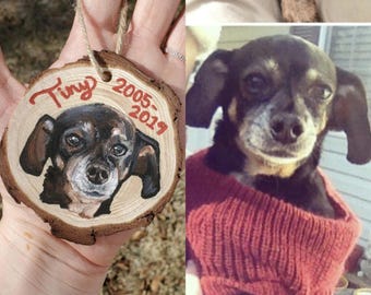Custom hand painted  pet ornaments