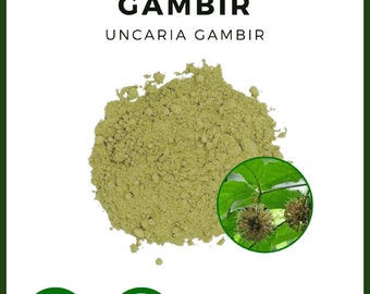 POWDER Gambir Pale Catechu Uncaria Gambir All Fresh Natural Herbs spices Indonesian herb Organic WildCrafted