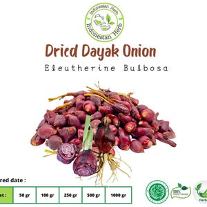 Dried Dry Tears Of the virgin Dayak Onion Dry Eleutherine Bulbosa Premium Fresh Natural Organic Herb Spices Herbal Pure WildCrafted Hygienic