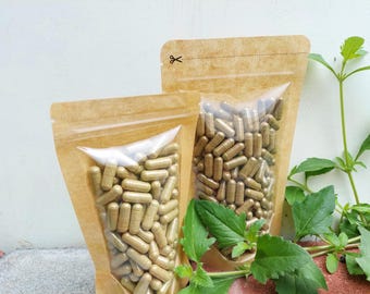 100-500 CAPSULES Andrographis Paniculata Sambiloto Natural Herbs spices Indonesian herb Organic WildCrafted