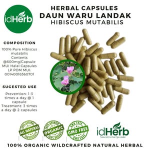 May include: A product image featuring herbal capsules. The capsules are light brown and scattered across the image. Text on the image includes "HERBAL CAPSULES", "DAUN WARU LANDAK", and "HIBISCUS MUTABILIS". There is also a circular image of pink flowers.