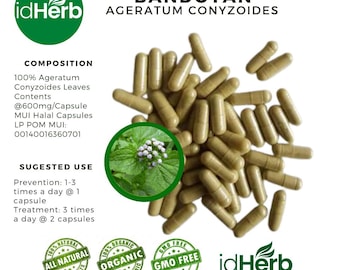 100-800 gélules d'herbes aromatiques pures Ageratum Conyzoides Bandotan 100 % herbes naturelles fraîches biologiques fabriquées à l'état sauvage
