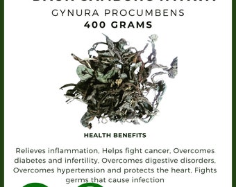 Dried Dry Sambung Nyawa Leaves Gynura Procumbens Leaves Premium Fresh Organic Herb Spices Pure FREE SHIPPING [idHerb]
