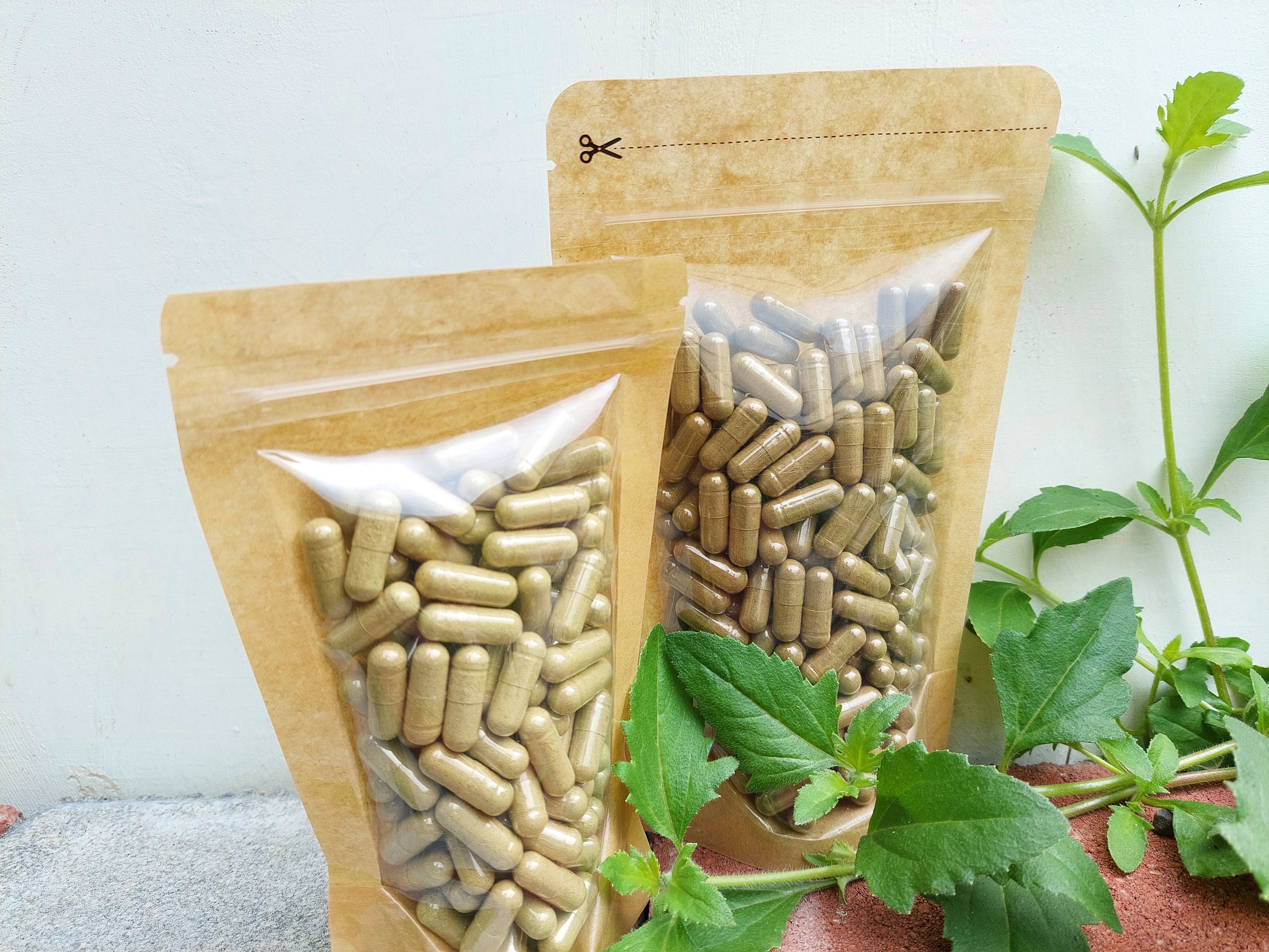 Pure Tongkat Ali Extract Capsules 10x Potency Extract 500 Mg 10 1 pure-tongkat-ali-extract-capsules-10x-potency-extract-500-mg-10-1