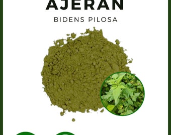 POWDER AJERAN Bidens Pilosa Spanish Needle Black-jack Beggar-ticks All Fresh Natural Herbs spices Indonesian herb Organic WildCrafted