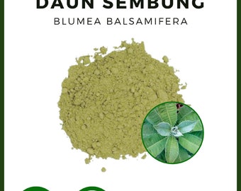 POWDER Sambong Leaves Ngai Camphor Blumea Balsamifera Daun Sembung All Fresh Natural Herbs spices Indonesian herb Organic WildCrafted