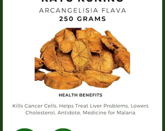 Dried Kayu kuning Arcangelisia flava L. Premium Fresh Organic Herbal Herb Spices Pure [idHerb]