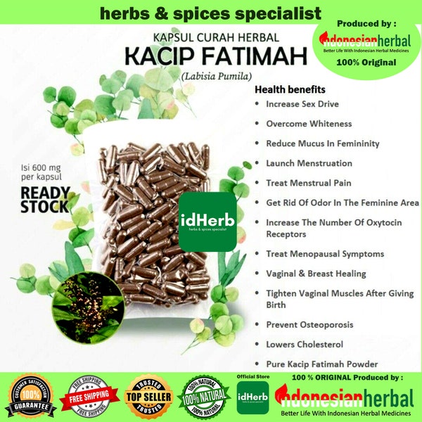 100-500 CAPSULES Kacip Fatimah Labisia Pumila @ 600 mg pour la santé Toutes les herbes naturelles fraîches épices Herbe indonésienne Biologique WildCrafted