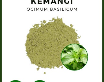 POWDER Ocimum Basilicum All Fresh Natural Herbs spices Indonesian herb Organic WildCrafted
