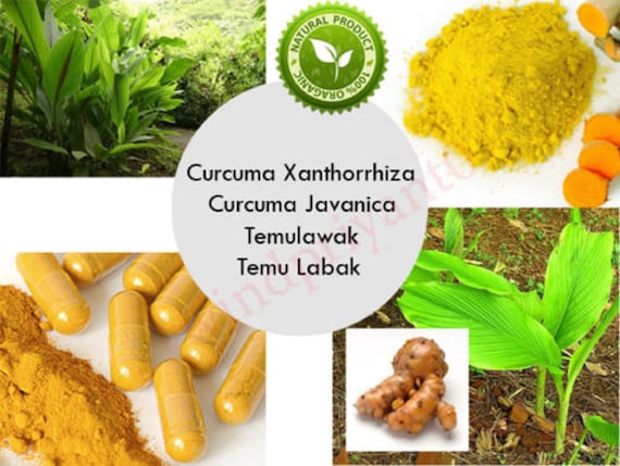 Dried Sliced Temulawak And Powder The Best Premium Quality Curcuma Xanthorrhiza Buy Dried Sliced And Powder The Best Premium Quality Curcuma Xanthorrhiza Premium Quality Curcuma Xanthorrhiza Natural Temulawak Powder Product On Alibaba Com