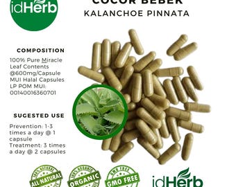 100-800 cápsulas de Kalanchoe Pinnata Miracle Leaf puro, hierbas naturales frescas 100 % orgánicas y silvestres.