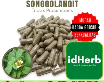 100-500 CAPSULES Tridax Procumbens Songgolangit @600mg for Health All Fresh Natural Herbs spices Indonesian herb Organic WildCrafted