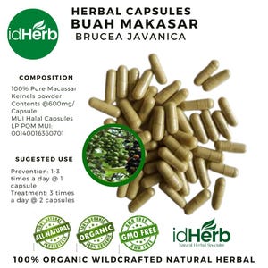 100-800 kapslar med rena makassarkärnor eller Java Brucea eller Kosam (Brucea Javanica) 100 % ekologiska vildtillverkade färska naturliga örter