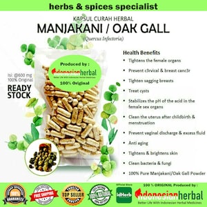 100-500 CAPSULES Manjakani Oak Gall Quercus Infectoria @600mg for Health All Fresh Natural Herbs spices Indonesian herb Organic WildCrafted