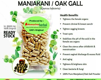 100-500 CAPSULES Manjakani Oak Gall Quercus Infectoria @600mg for Health All Fresh Natural Herbs spices Indonesian herb Organic WildCrafted