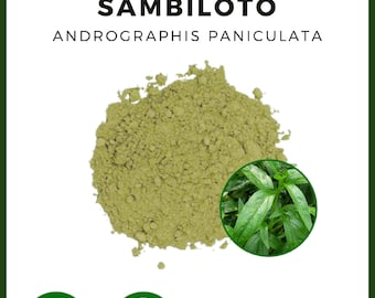 POEDER King of Bitters Sambiloto Andrographis Paniculata Herbal All Fresh Natural Herbs specerijen Indonesisch kruid Biologisch WildCrafted