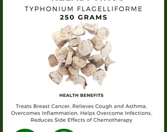 Dried Keladi Tikus Typhonium Flagelliforme Premium Fresh Organic Herb Spices Pure FREE SHIPPING [idHerb]