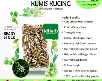 100-500 CAPSULES Orthosiphon Aristatus Kumis Kucing @600mg voor Gezondheid Alle Verse Natuurlijke Kruiden specerijen Indonesisch kruid Biologisch WildCrafted