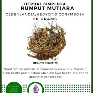 Dried Dry Rumput Mutiara Oldenlandia Hedyotis Corymbosa Premium Fresh Organic Herb Spices Pure FREE SHIPPING [idHerb]