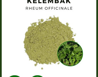 POWDER Chinese Rhubarb Tibetan Rhubarb Rheum Officinale Kelembak All Fresh Natural Herbs spices Indonesian herb Organic WildCrafted