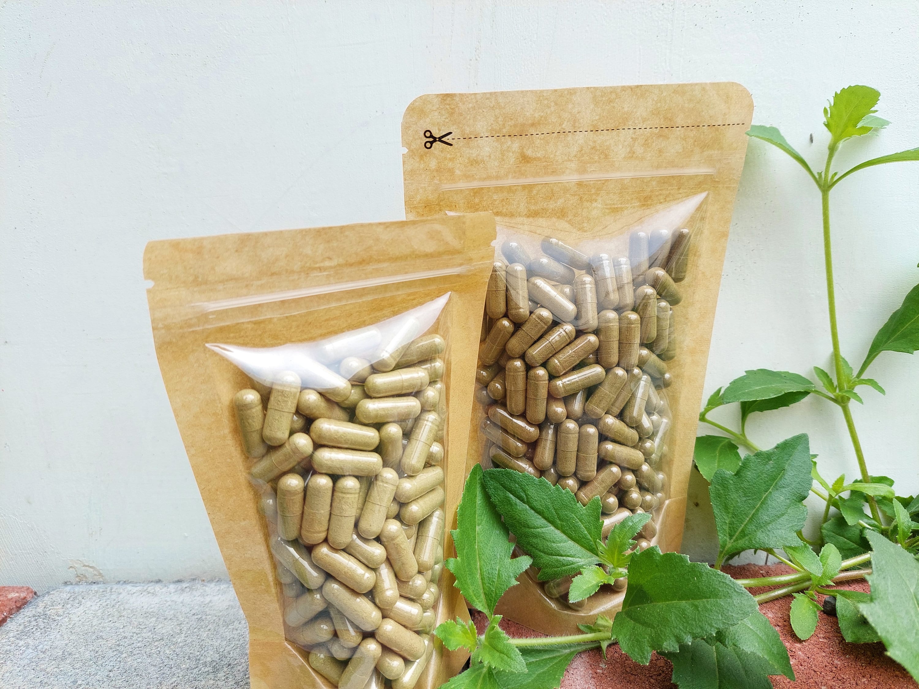 Long Pepper Extract Capsules - 500 mg 10:1 Extract - Organic Piper longum (Long Pepper) - Pippali - All Natural Herbs Wild Crafted - idHerb