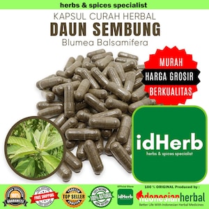 Peut inclure: Un grand tas de capsules brunes avec une plante verte en arrière-plan. Le texte "KAPSUL CURAH HERBAL DAUN SEMBUNG Blumea Balsamifera" est en haut de l'image. Le texte "MURAH HARGA GROSIR BERKUALITAS" est dans un cercle rouge sur le côté droit de l'image. Le texte "idHerb herbs & spices specialist" est dans un rectangle vert sur le côté droit de l'image. Le texte "100% ORIGINAL Produced by: donesianherbal Better Life With Indonesian Herbal Medicines" est en bas de l'image.