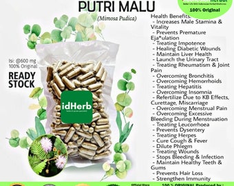 100-500 CAPSULES Mimosa Pudica @600mg Herbal Capsules All Fresh Natural Herbs spices Healthy Indonesian herbs Organic Wild Crafted