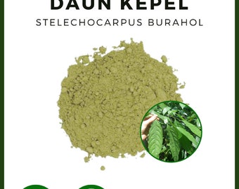 POWDER Kepel Leaves Burahol Keppel Fruit Stelechocarpus Burahol All Fresh Natural Herbs spices Indonesian herb Organic WildCrafted