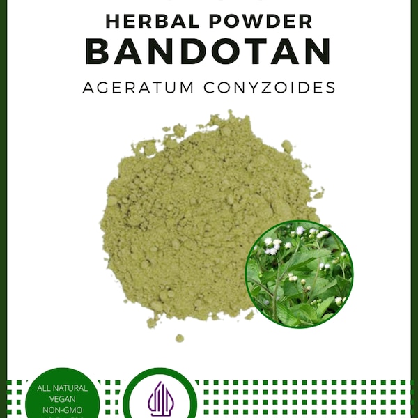 POWDER Billygoat-weed Ageratum Conyzoides Bandotan Herbal All Fresh Natural Herbs spices Indonesian herb Organic WildCrafted