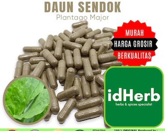 100-500 CAPSULES Plantago Major Daun Sendok @600mg for Health All Fresh Natural Herbs spices Indonesian herb Organic WildCrafted