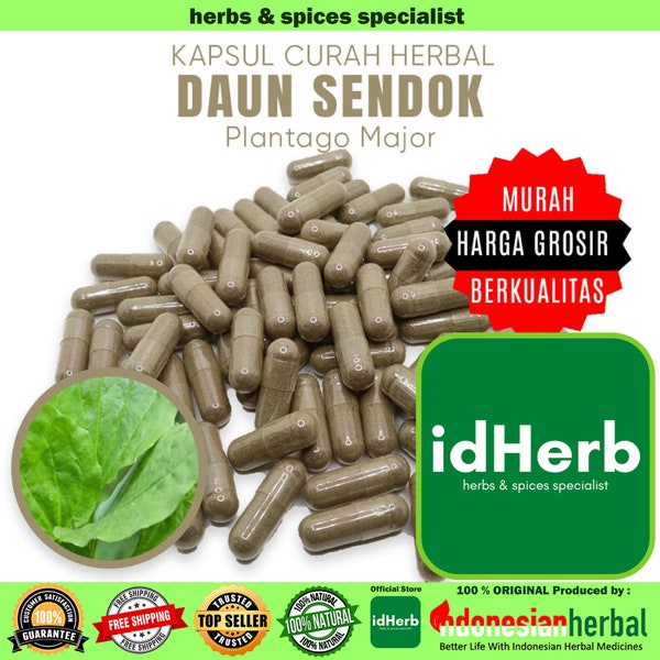 100-500 CAPSULES Plantago Major Daun Sendok @600mg for Health All Fresh Natural Herbs spices Indonesian herb Organic WildCrafted