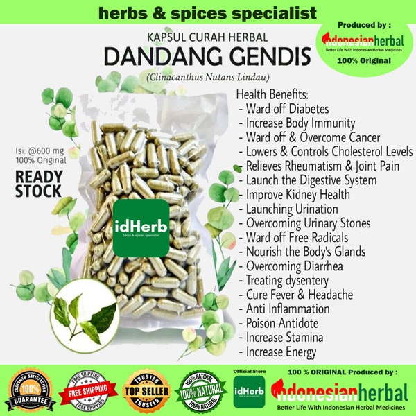 100-500 CAPSULES Clinacanthus Nutans Lindau 600mg Herbal Capsules All Fresh Natural Herbs spices Healthy Indonesian herb Organic WildCrafted