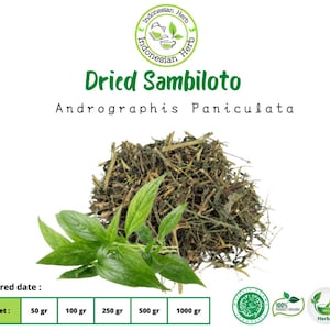 Dried Dry Sambiloto Dry Andrographis Paniculata  Premium Fresh Natural Organic Herb Spices Herbal Pure WildCrafted Hygienic