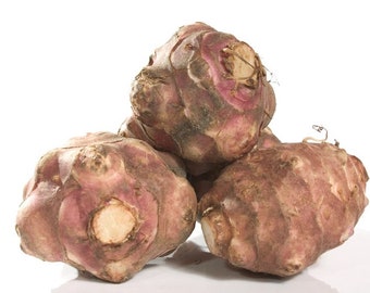 Set of 6 ORGANIC Jerusalem Artichokes/Sunchokes