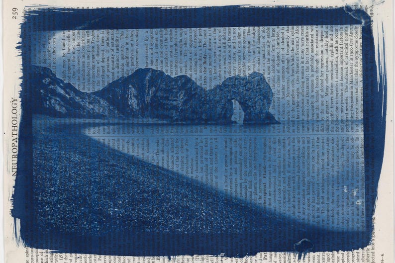 May include: A cyanotype print featuring a coastal landscape with a rock arch and a beach. The image is printed on a page with text, and the word "NEUROPATHOLOGY" is visible.