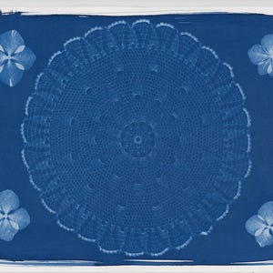 May include: A cyanotype print featuring a detailed, circular doily design in the center, surrounded by four pressed flower blossoms. The artwork is set against a deep blue background, with a white border.