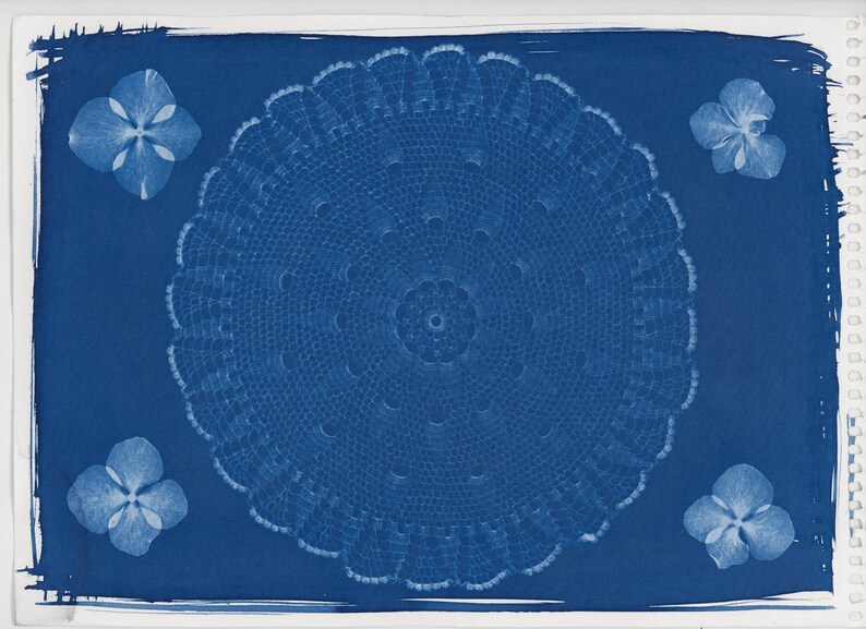 May include: A cyanotype print featuring a detailed, circular doily design in the center, surrounded by four pressed flower blossoms. The artwork is set against a deep blue background, with a white border.