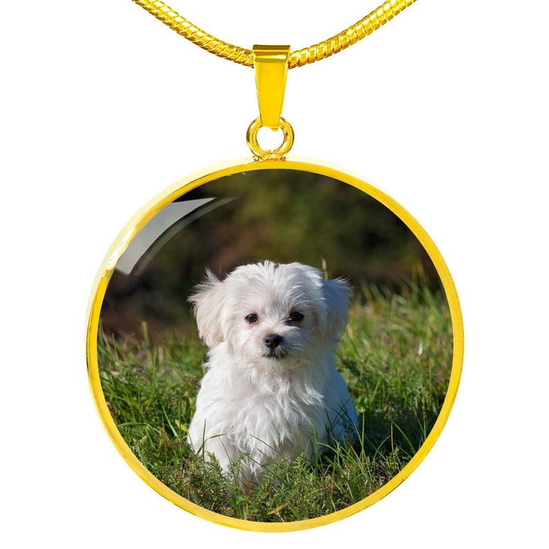 Your Maltese Dog's Photo on a Pendant Necklace Maltese Etsy