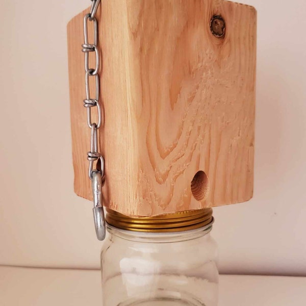 Carpenter Bee Trap