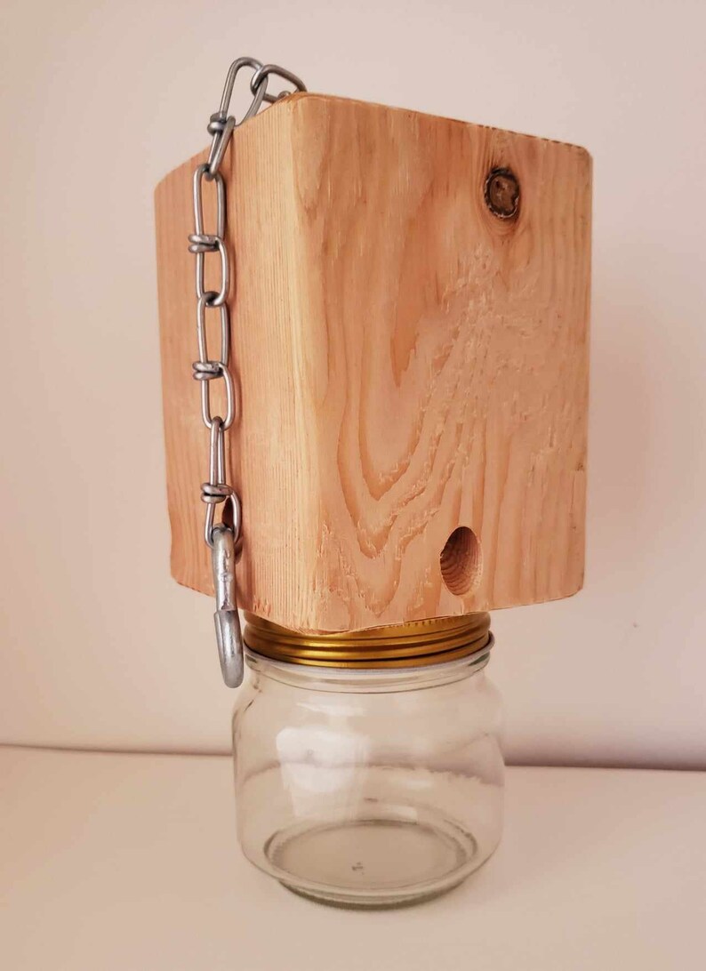 Carpenter Bee Trap image 1