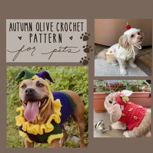 Crochet Pattern - costume sweaters for pets - made to measure, customizable dress up halloween and holiday pullover for dogs, cats, rabbits